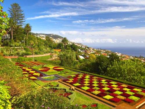 Fly-drive Schilderachtig Madeira + Vidamar Resorts